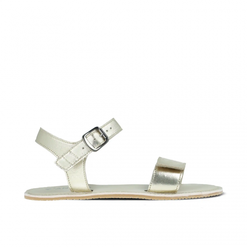Angles Hestia Gold
