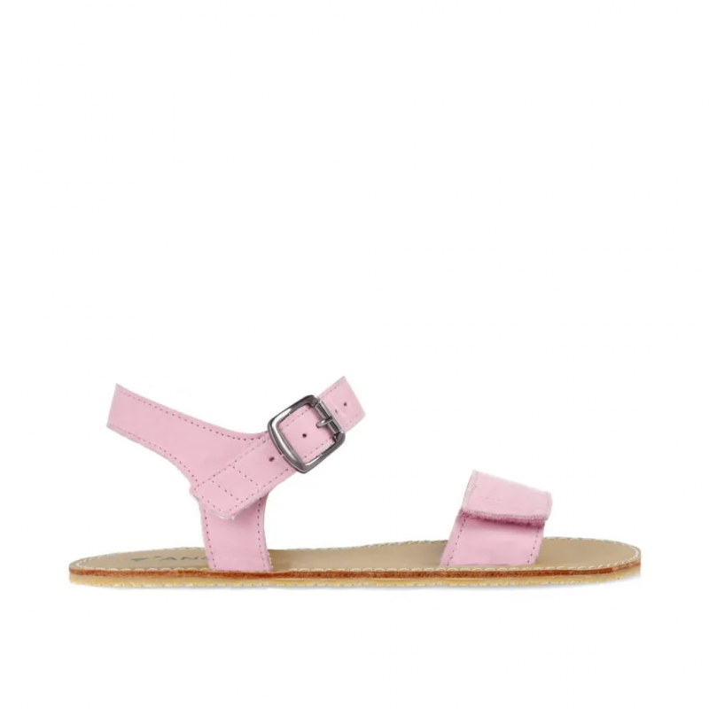 Angles Hestia Rose