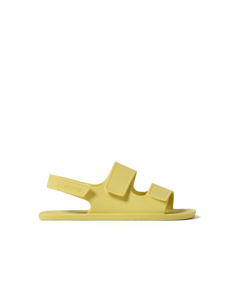 Muris Aruba Junior Lemon