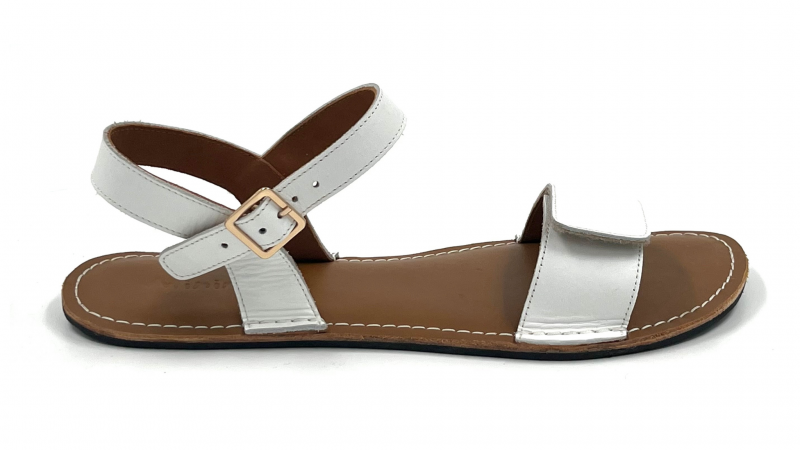Minimus Ibis White